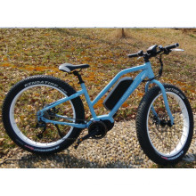 26*4.0 Tyre Ebike 48V 350W Cool Fat Tyre Electric Bike